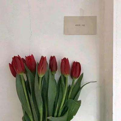 苍生仙侠情缘手游下载